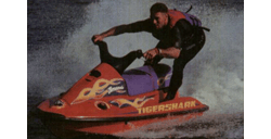 ARCTIC CAT - TIGERSHARK Barracuda 1996